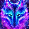 SpaceWolfor