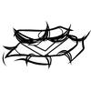 illuuz