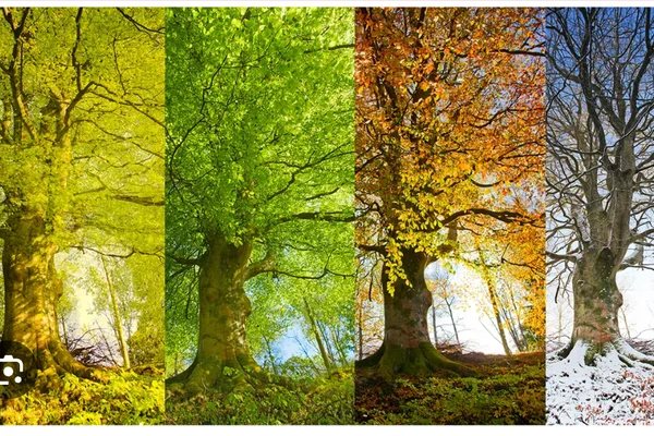 A nature poem