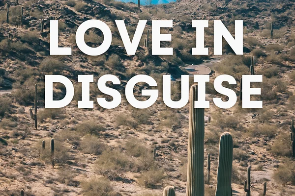 Love in Disguise