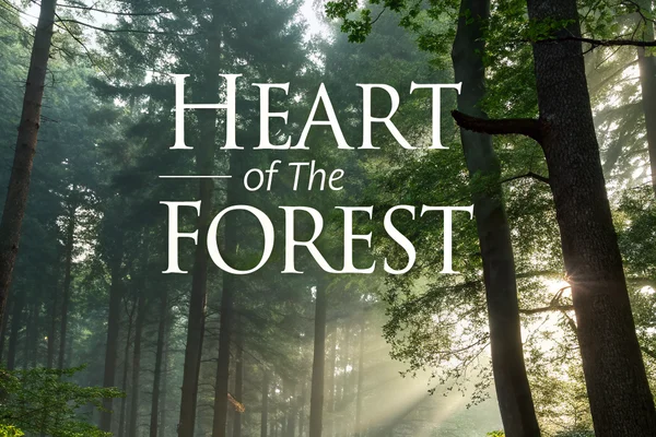 Heart of the Forest