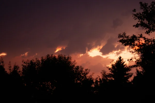 A Lament for the Distant Dawn