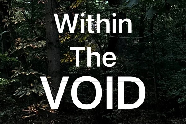 Within The Void