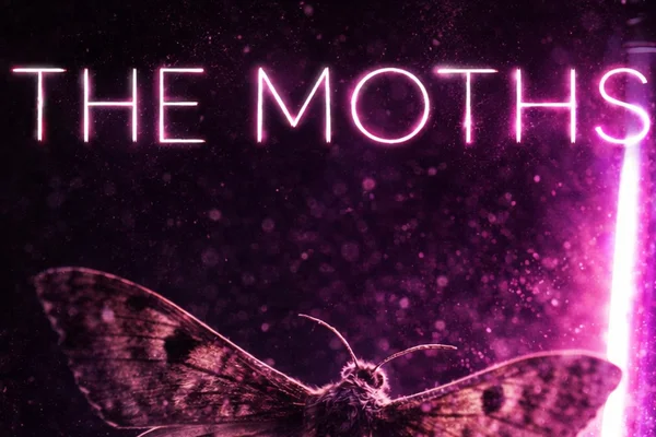 The Moths